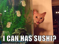 I Can Has Sushi?