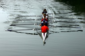 Rowers at risk from Weil's disease