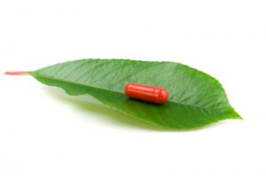 Bugs are used in Homeopathic medicine