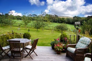Protect your decking from rodents