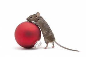 152143496-mouse-with-christmas-bauble