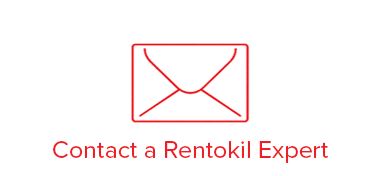 Contact a Rentokil Expert
