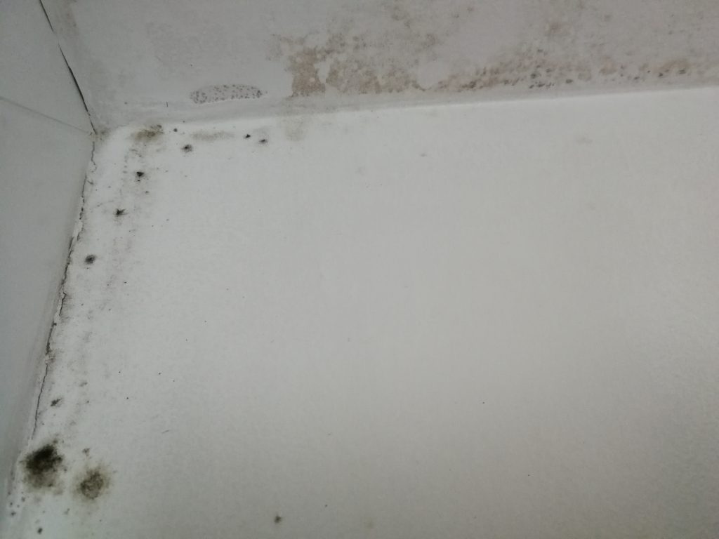 Wall and ceiling full of mould and mildew fungus as a result of condensation