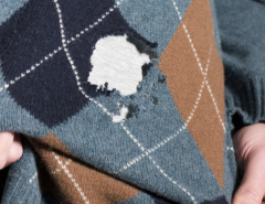 Holes in Clothes caused by Moths