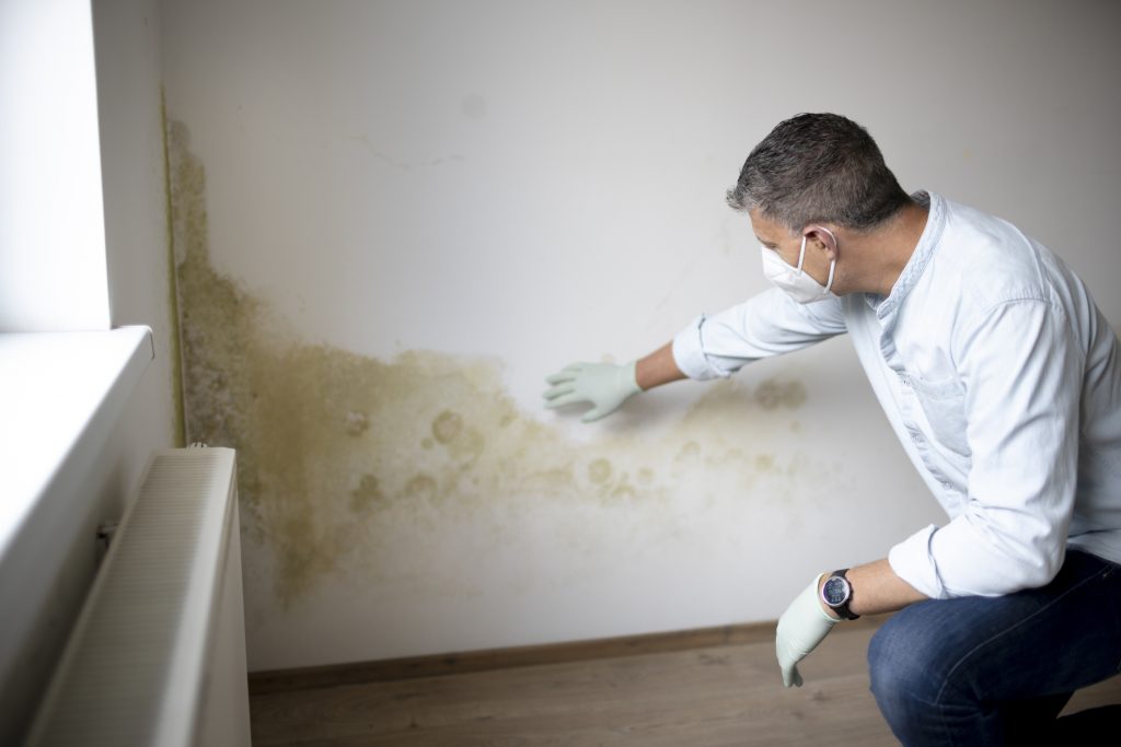 Damp Proofing