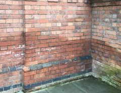 rising-damp-dark-tidemark-stain-on-exterior-red-brickwork