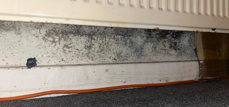 Mould at the bottom of a floor