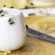 flies-feeding-on-white-sauce-pot-on-tray