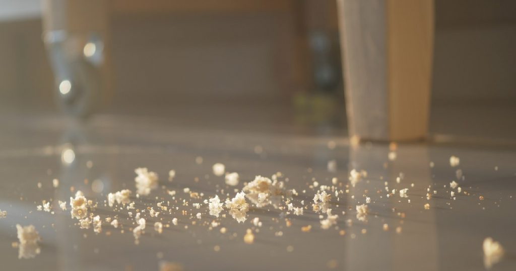 food-crumbs-on-floor-attract-mice