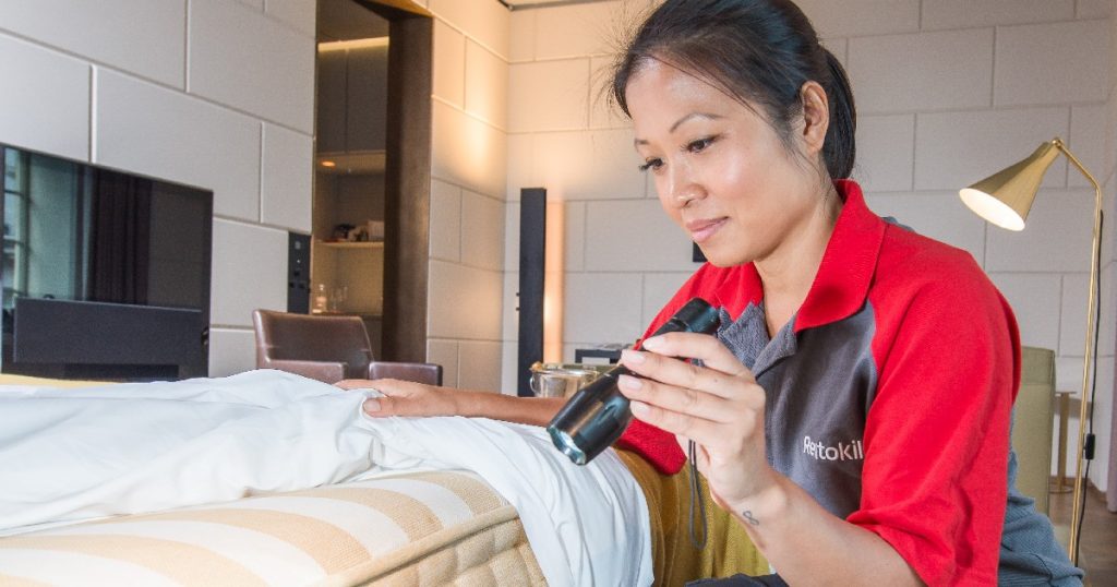 Rentokil-female-technician-inspecting-bed-and-room-for-bed-bugs