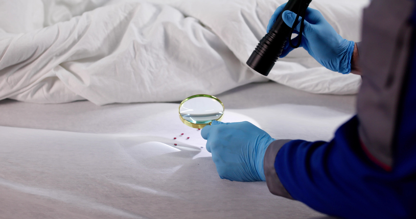 Man Inspecting a Mattress For Bedbug Infestation With a Magnifying Glass.