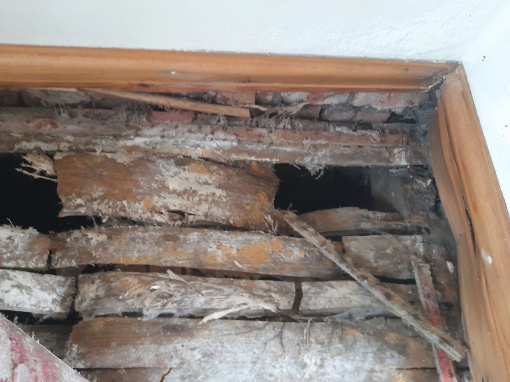 Dry rot damage to skirting