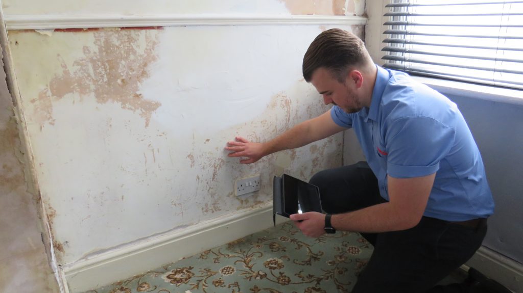 A qualified surveyor inspecting damp